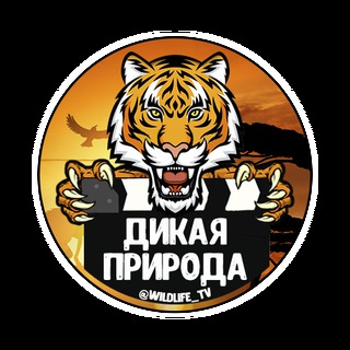 Telegram profile photo for Дикая природа 🔞
