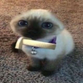Telegram profile photo for Бункер уно 228