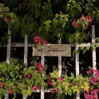 Telegram profile photo for وَذَكِّر 🌱
