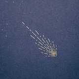 Telegram profile photo for a speck of Universe