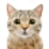 Telegram profile photo for MJ