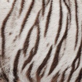 Telegram profile photo for Аристотель 322