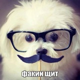 Telegram profile photo for анон свинья