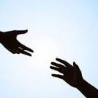 Telegram profile photo for 🌱نهال مهربانی 🌱