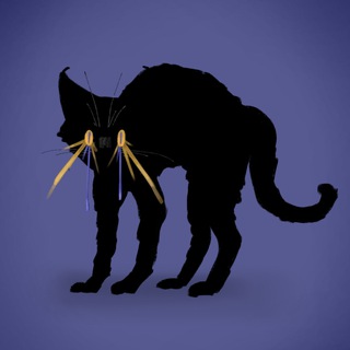Telegram profile photo for pollka АРХИВ