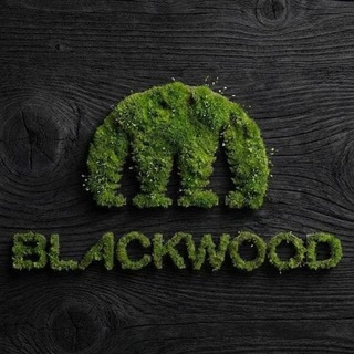 Telegram profile photo for BLACKWOODMSK