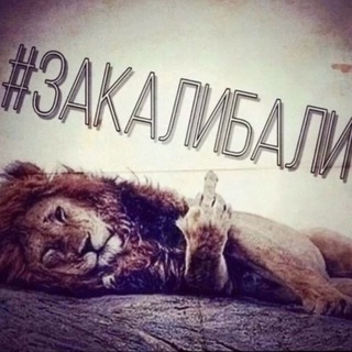 Telegram profile photo for чат досик 🤞🏻