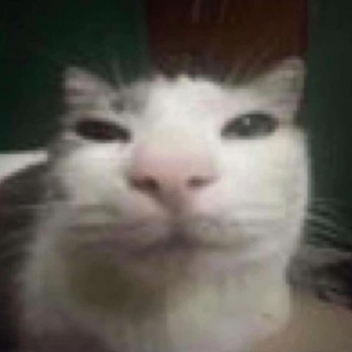 Telegram profile photo for над