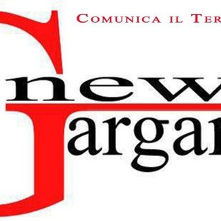 Telegram profile photo for newsGargano