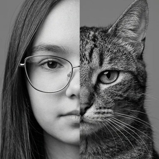 Telegram profile photo for Toria.move