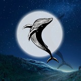 Telegram profile photo for BlackWhale Calls