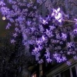 Telegram profile photo for переходник