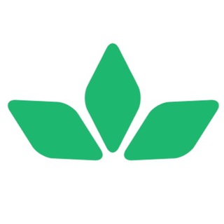 Telegram profile photo for Отзывы Detox Camp