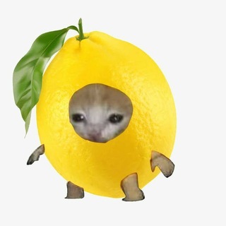 Telegram profile photo for 🍋