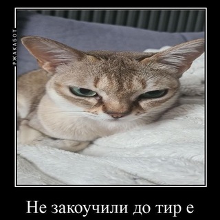 Telegram profile photo for Дом таланта Раджарика