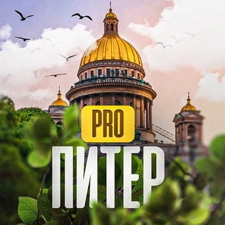 Telegram profile photo for Новости Питера | Санкт Петербурга