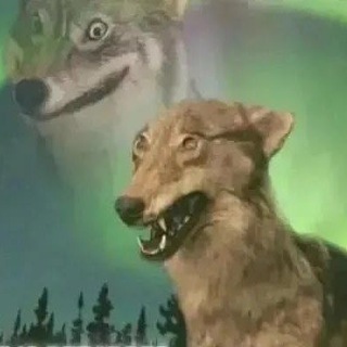 Telegram profile photo for god dog lol