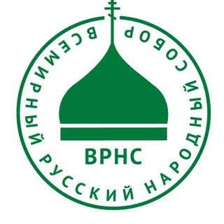 Telegram profile photo for ВРНС | Санкт-Петербург