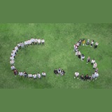 Telegram profile photo for القناة الطلابية لكلية علوم الحاسوب