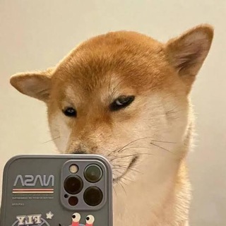 Telegram profile photo for 吃瓜新闻