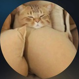 Telegram profile photo for - Mehmonxona ️