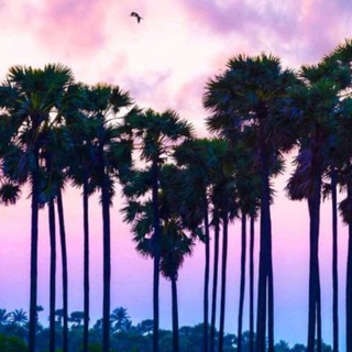 Telegram profile photo for ⭐℘خلفيات 📷خواطر᭄⸙