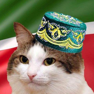 Telegram profile photo for Республикасы