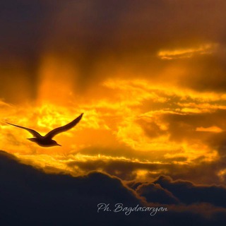 Telegram profile photo for КРАСОТА ЮГА! 🌅 Фотограф|Photographer| Фото Новороссийск, Анапа, Геленджик📸