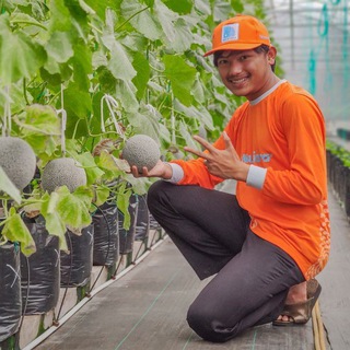 Telegram profile photo for Channel NPK Mutiara