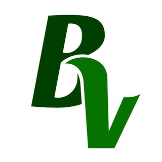 Telegram profile photo for Buenas Vibras 🍀