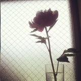 Telegram profile photo for В поиске смысла и вдохновения. by. baha