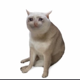 Telegram profile photo for Cashcat