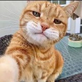 Telegram profile photo for Моя голда