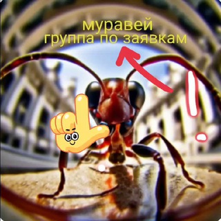 Telegram group profile photo for Муравей заявки грузчики разнорабочие Новосибирск