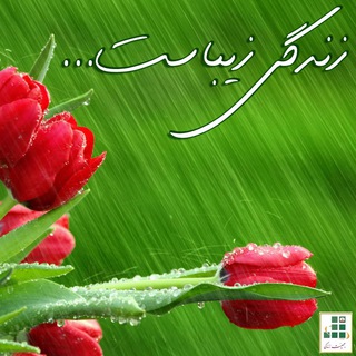 Telegram profile photo for زندگی