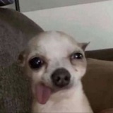 Telegram profile photo for j