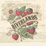 Telegram profile photo for 𝕽iverlands: 𝐂atalogue.