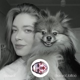 Telegram profile photo for oswof портфолио