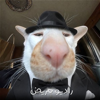 Telegram profile photo for RadioMariz - رادیو مریض