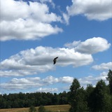 Telegram profile photo for Песни нашего времени