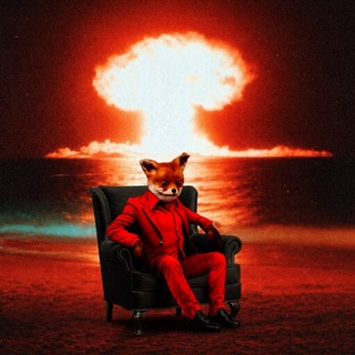 Telegram profile photo for DictatorCrypto