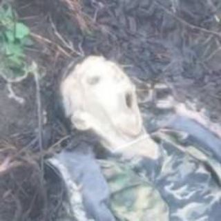Telegram profile photo for War Crimes Aestheticꑭ