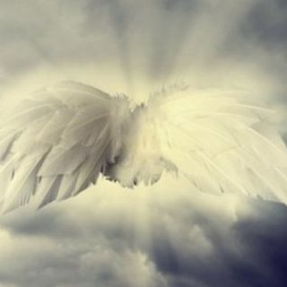 Telegram profile photo for wings
