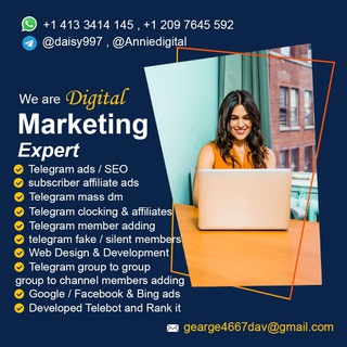 Telegram group profile photo for Website Development/ Telegram Ads / Google or facebook Ads / SEO
