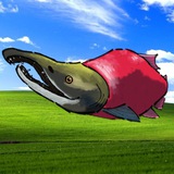 Telegram profile photo for Плитка из Lосося 🎏