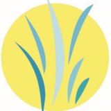 Telegram profile photo for Dr. Kelley Reis