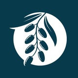 Telegram profile photo for EPIN BARAKA️