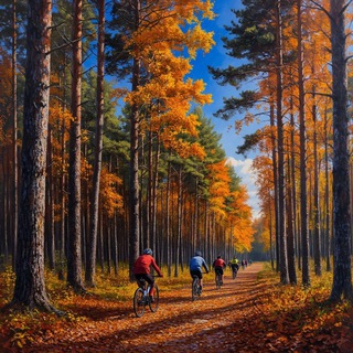 Telegram group profile photo for ВелоСтранники 🚲🌲🚵♂🏕