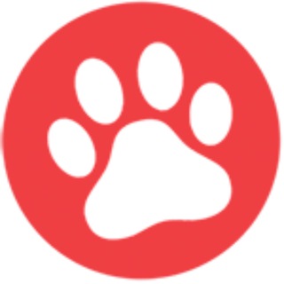 Telegram profile photo for Мои счастливые собаки