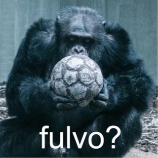 Telegram profile photo for DR FULVO 🐒⚽️
